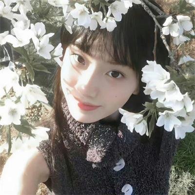春曲丽影